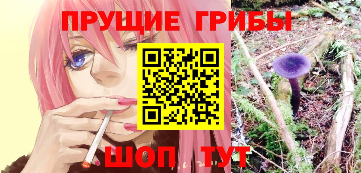 Псилоцибиновые грибы прущие грибы Ленинск-Кузнецкий
