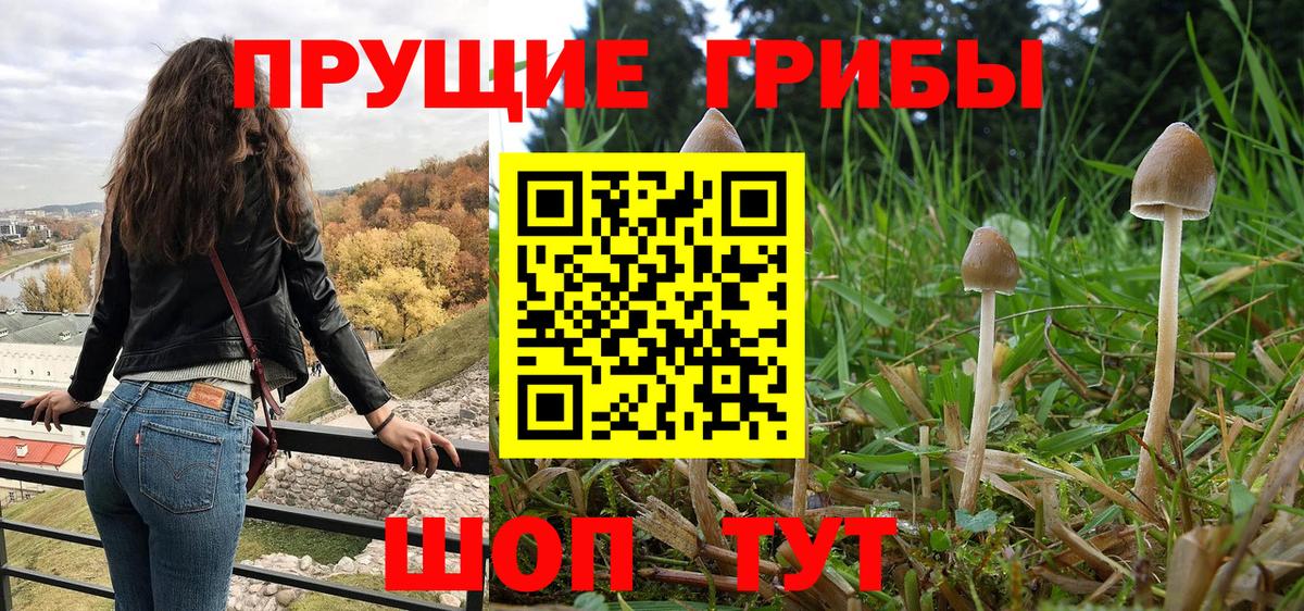 Ленинск-Кузнецкий  Псилоцибиновые грибы мицелий  Псилоцибиновые грибы GOLDEN TEACHER  Вход с VPN 